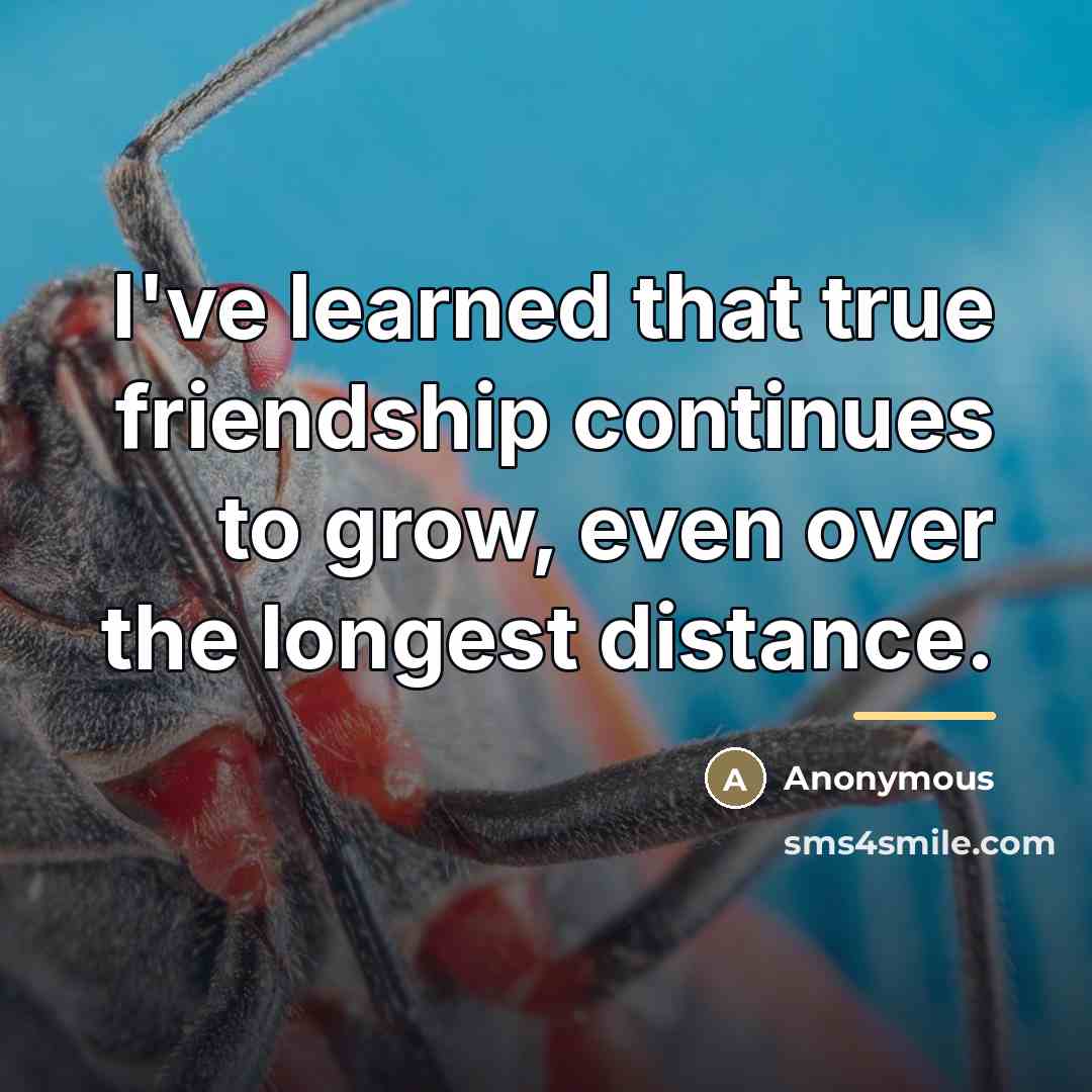 “I've learned that true friendship continues to grow, even over…” quote by Anonymous