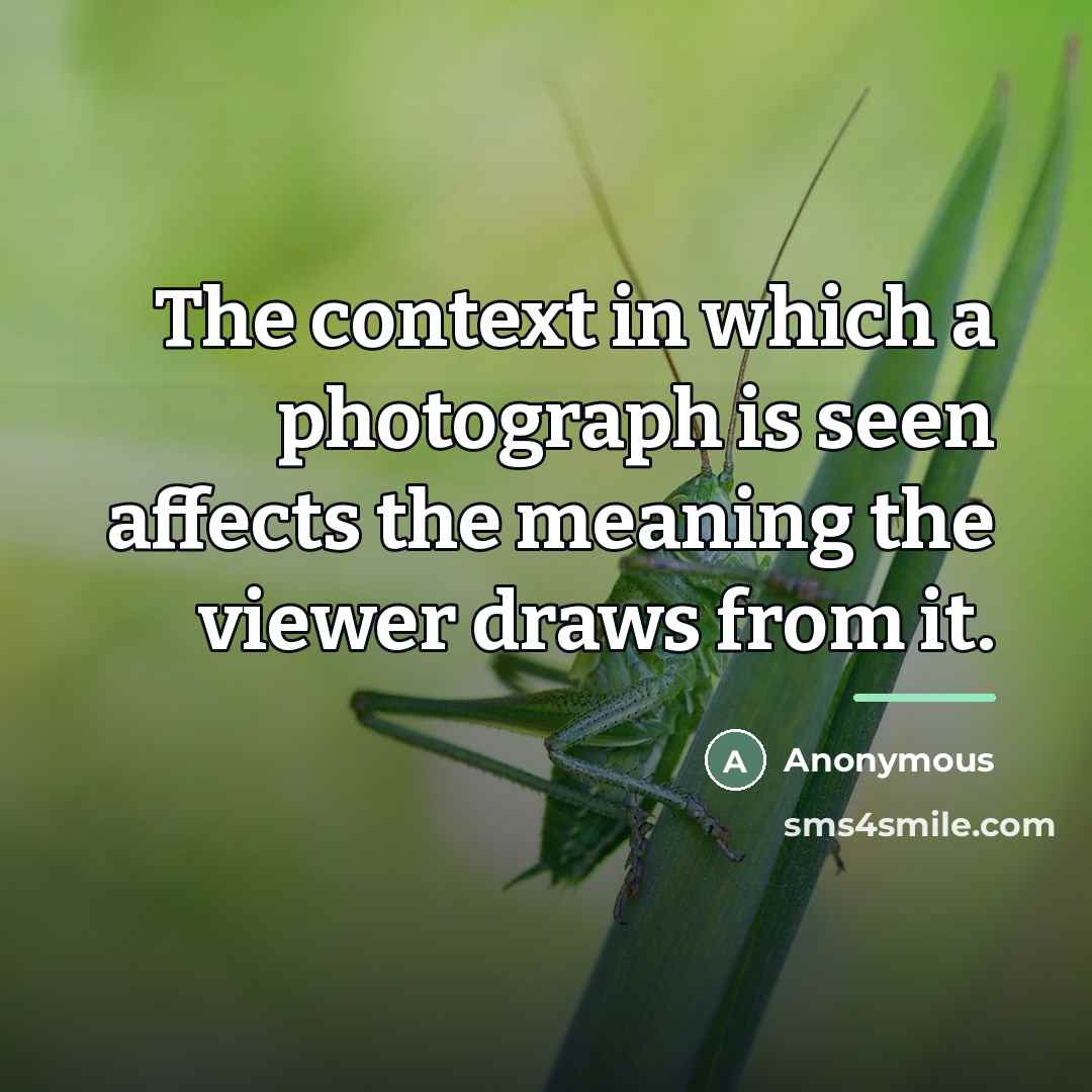 “The context in which a photograph is seen affects the…” quote by Anonymous