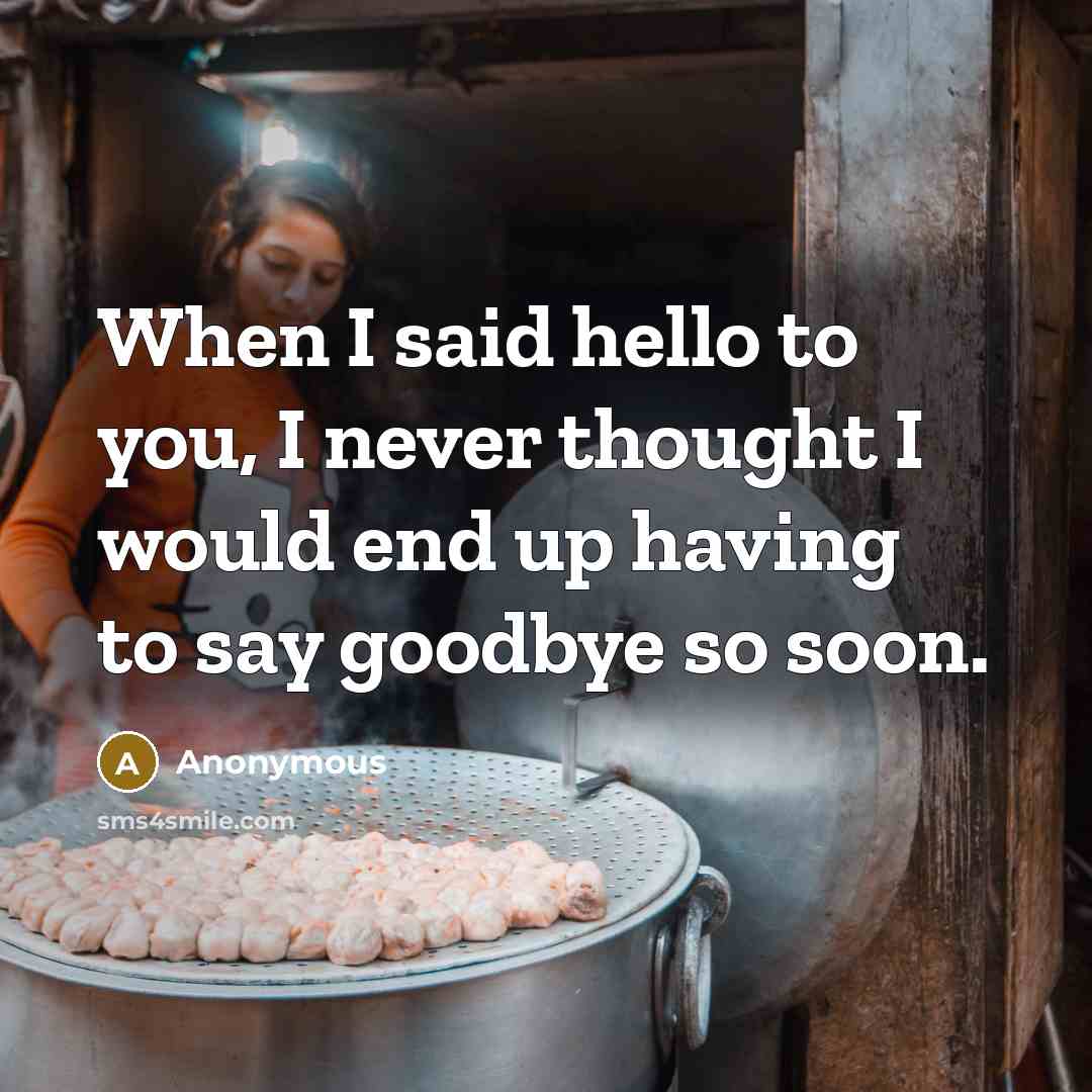 “When I said hello to you, I never thought I would end up having to say goodbye so soon.” quote by Anonymous