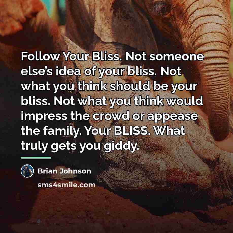 “Follow Your Bliss. Not someone else’s idea of your bliss.…” quote by Brian Johnson