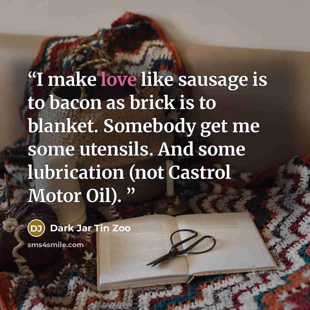 “I make love like sausage is to bacon as brick is to blanket. Somebody get me some utensils. And some lubrication (not Castrol Motor Oil).” quote by Dark Jar Tin Zoo