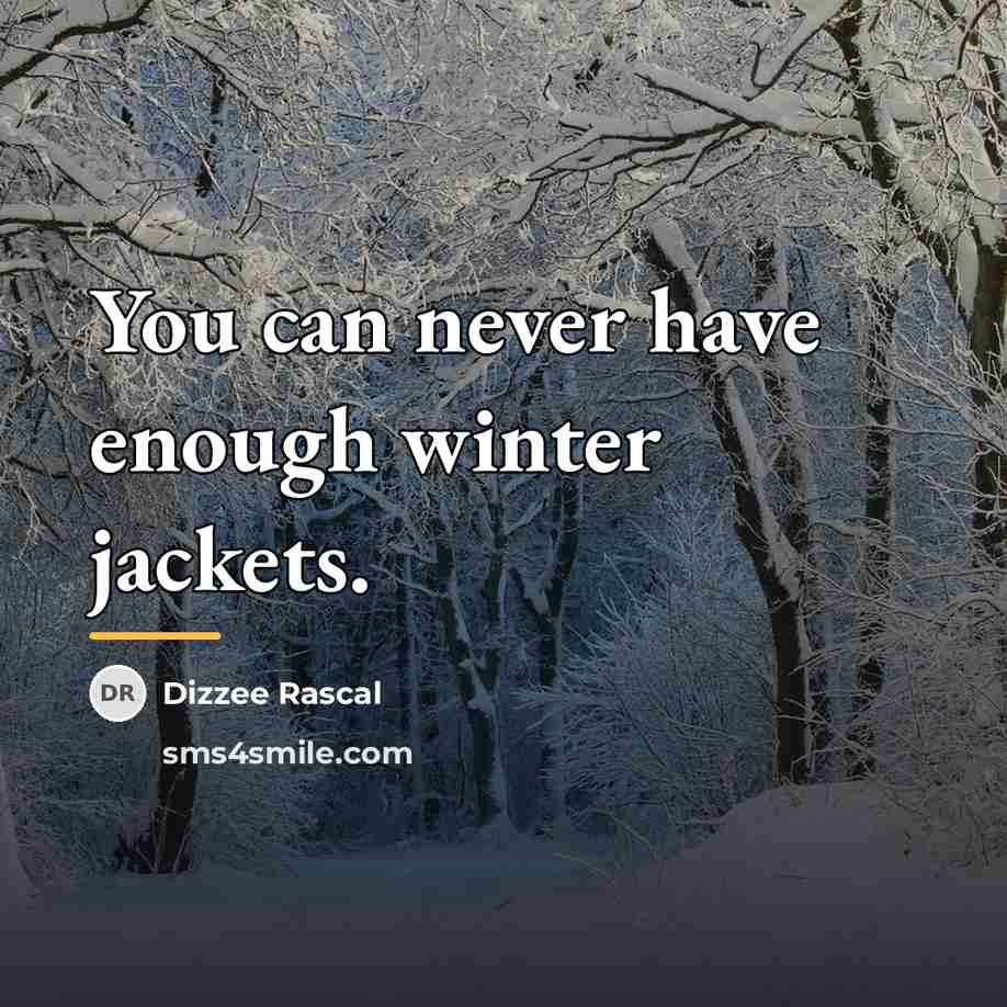 “You can never have enough winter jackets.…” quote by Dizzee Rascal
