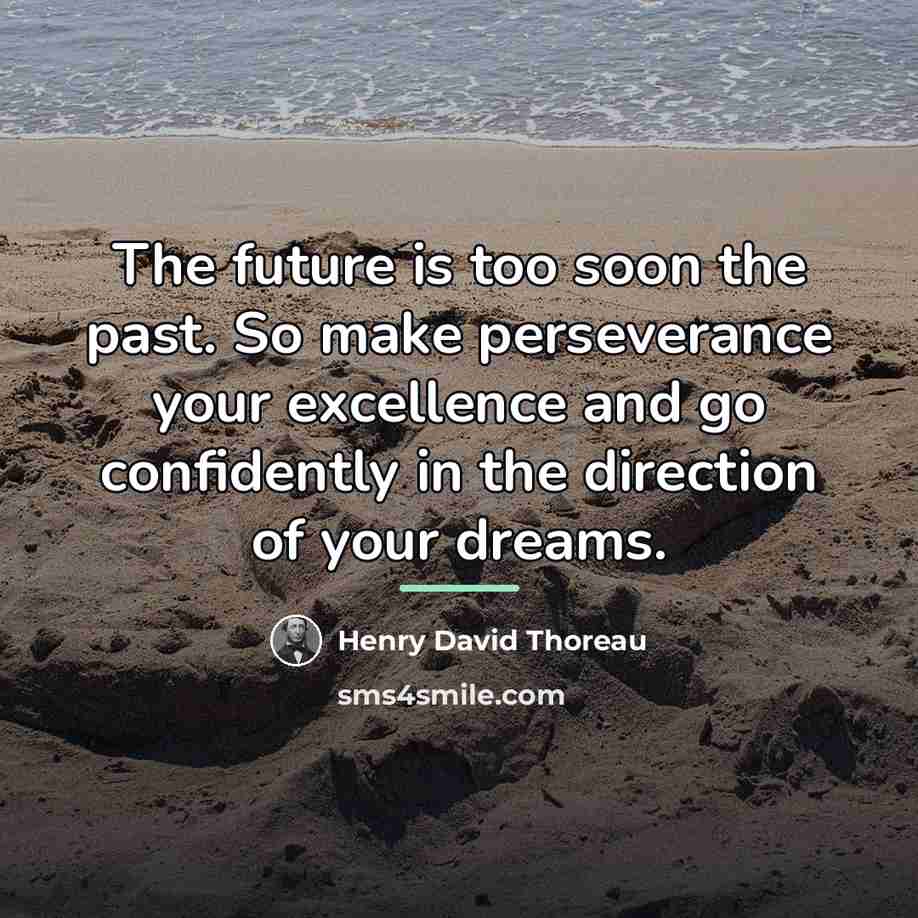 “The future is too soon the past. So make perseverance…” quote by Henry David Thoreau