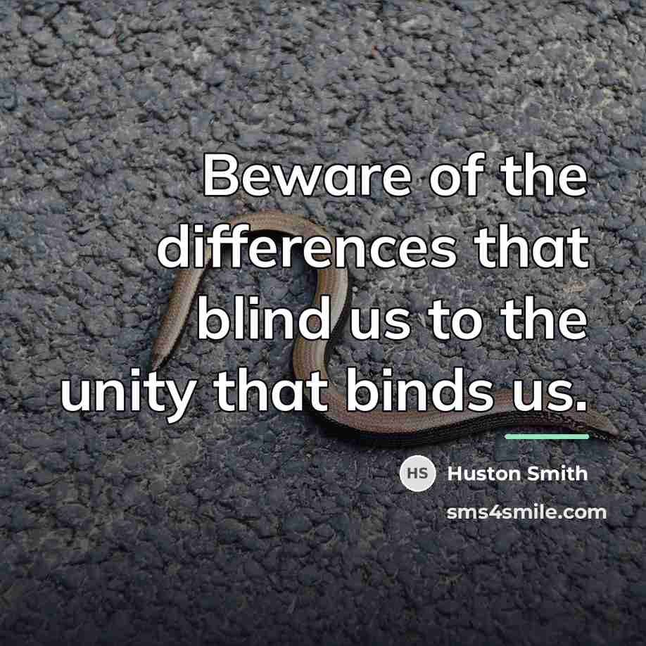 “Beware of the differences that blind us to the unity…” quote by Huston Smith