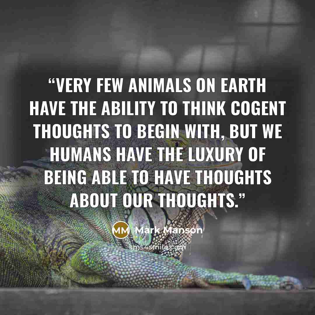 “Very few animals on earth have the ability to think cogent thoughts to begin with, but we humans have the luxury of being able to have thoughts about our thoughts.” quote by Mark Manson