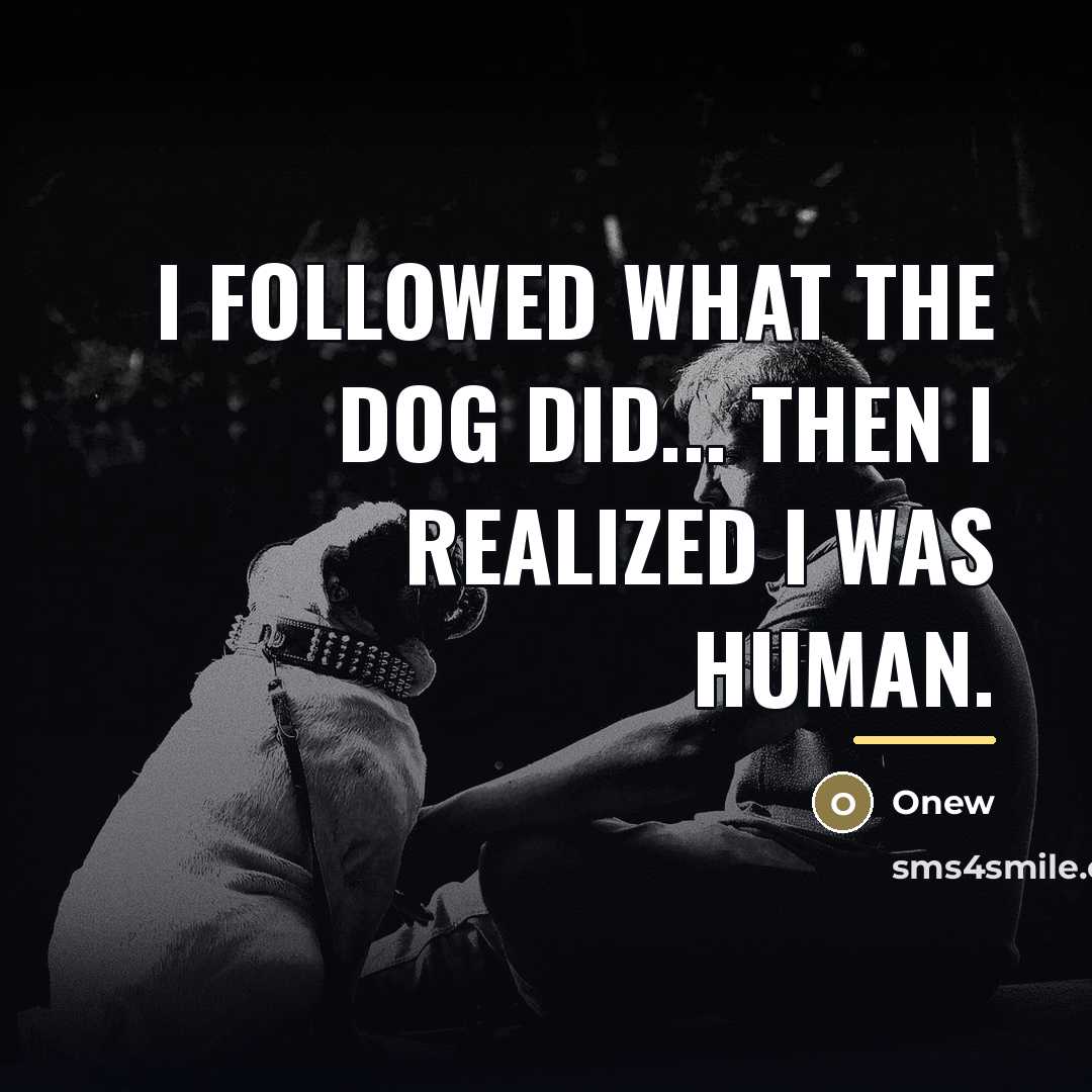 “I followed what the dog did... then I realized I…” quote by Onew