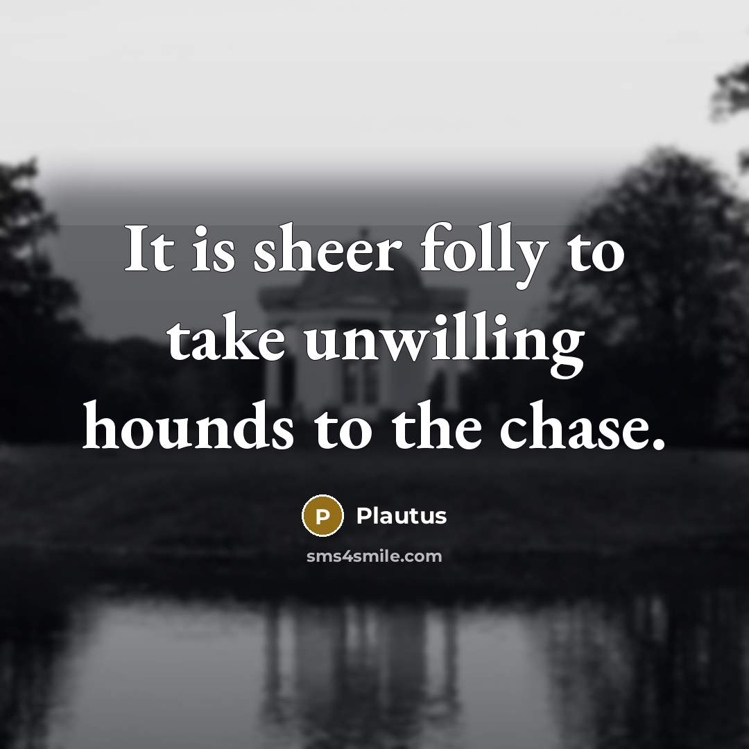 “It is sheer folly to take unwilling hounds to the…” quote by Plautus