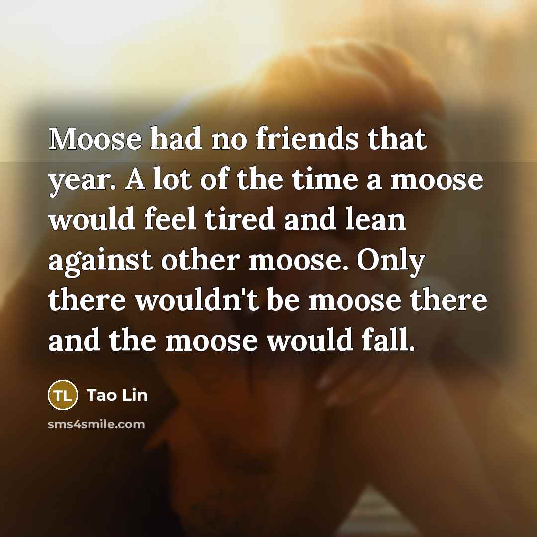 “Moose had no friends that year. A lot of the…” quote by Tao Lin
