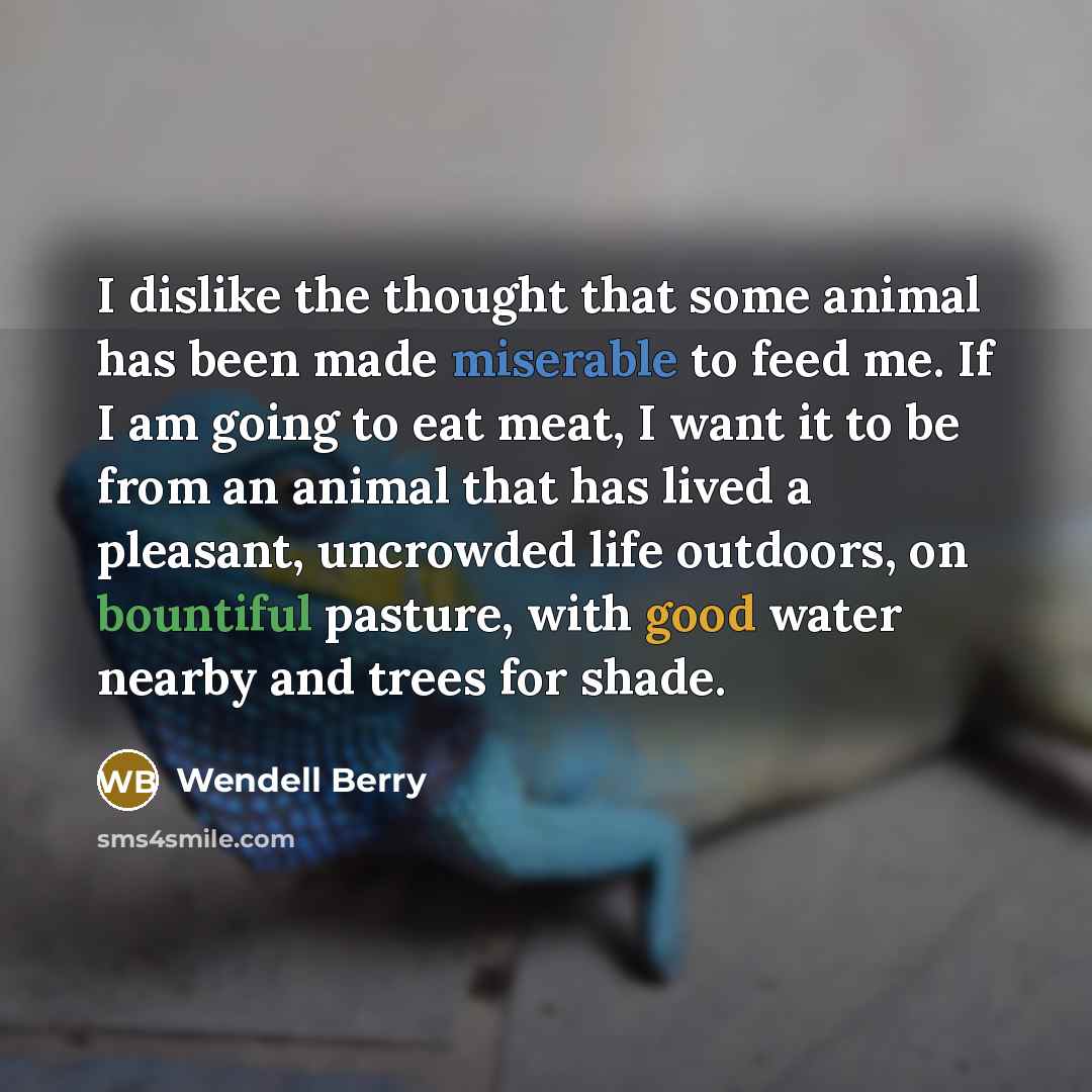 “I dislike the thought that some animal has been made…” quote by Wendell Berry