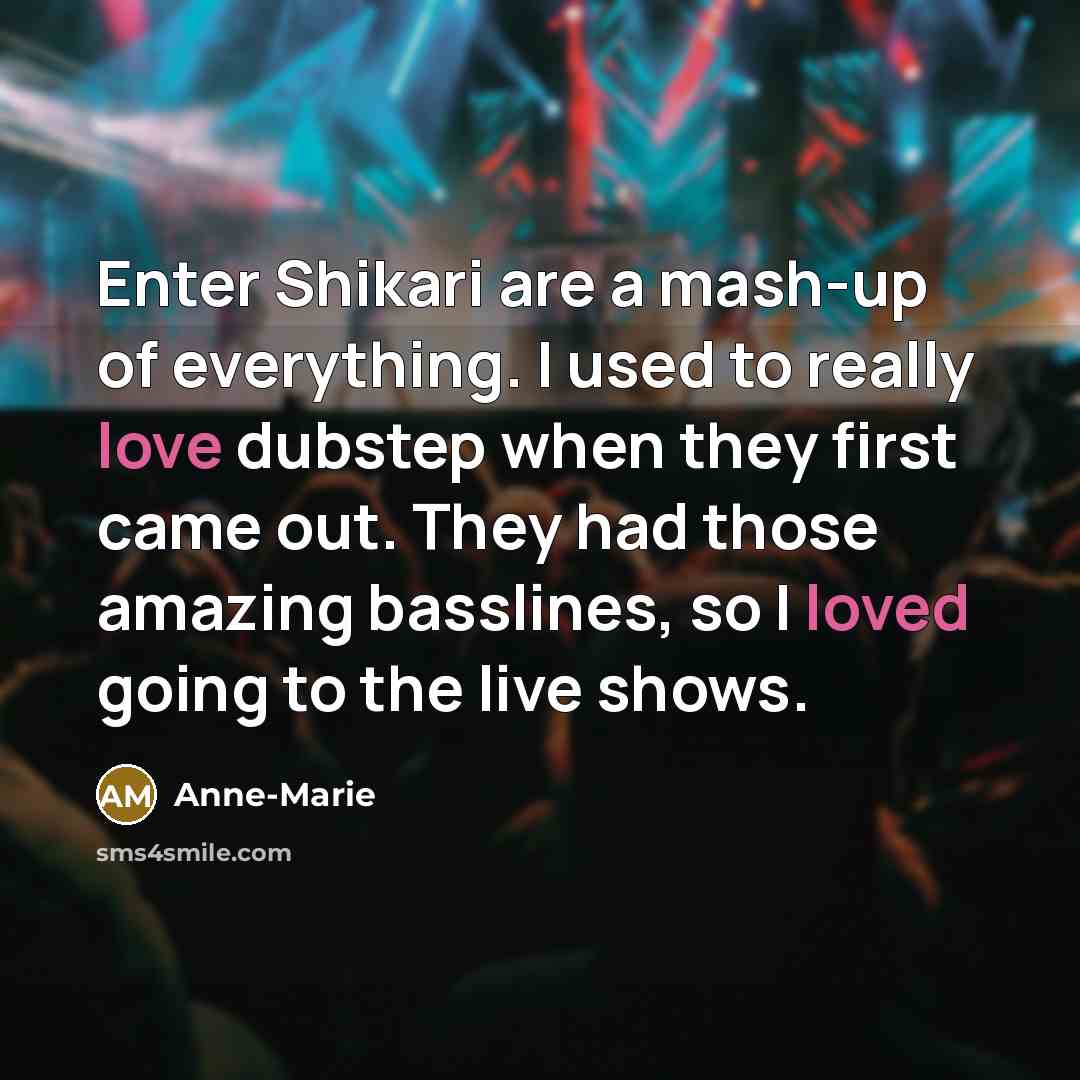 “Enter Shikari are a mash-up of everything. I used to…” quote by Anne-Marie