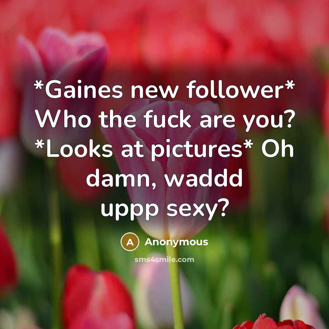 “*Gaines new follower* Who the fuck are you? *Looks at pictures* Oh damn, waddd uppp sexy?” quote by Anonymous