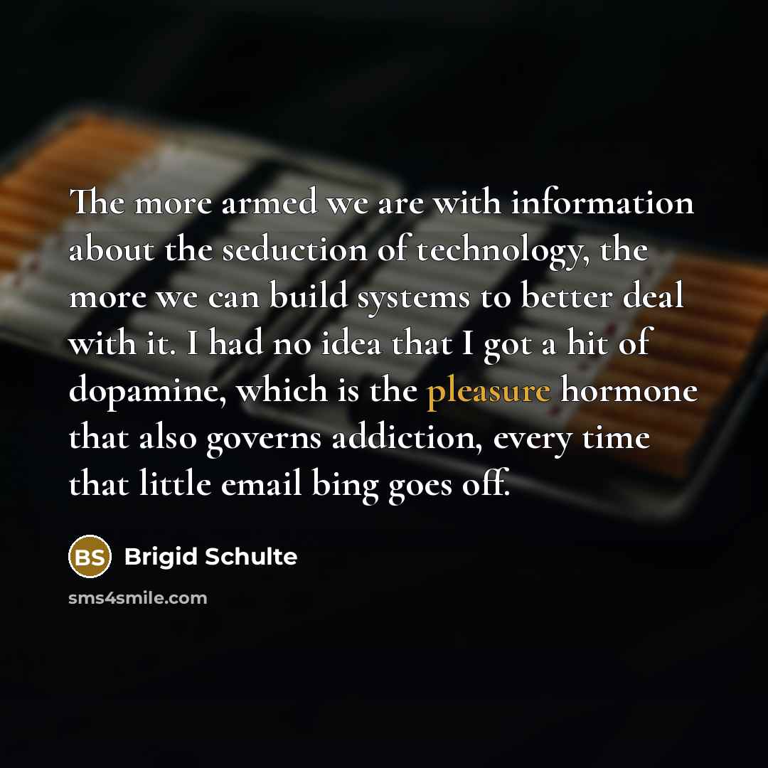 “The more armed we are with information about the seduction…” quote by Brigid Schulte