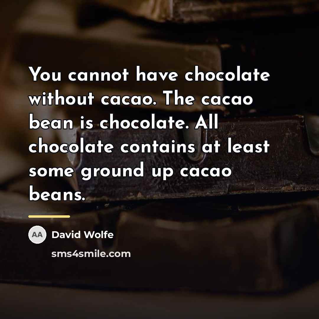“You cannot have chocolate without cacao. The cacao bean is…” quote by David Wolfe