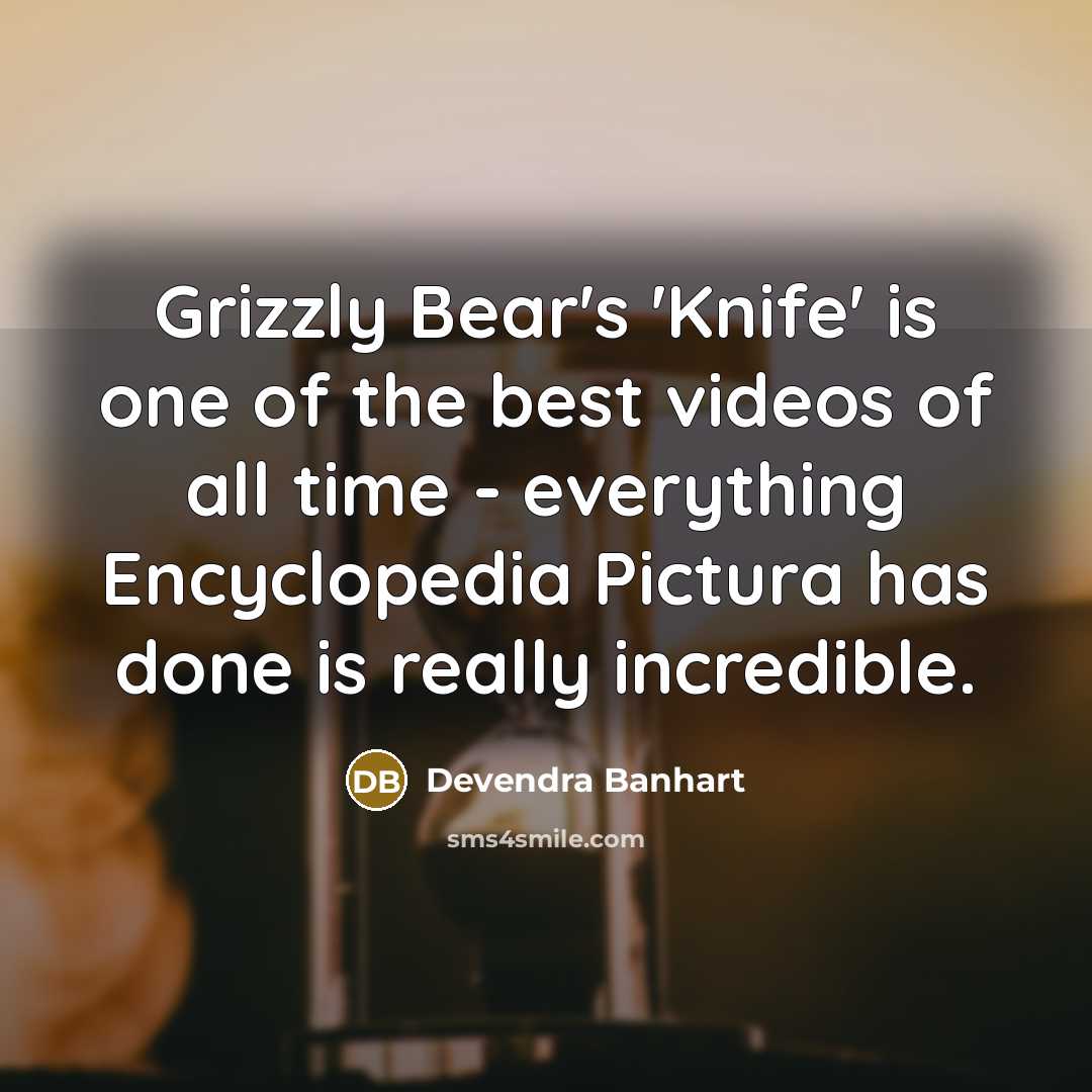 “Grizzly Bear's 'Knife' is one of the best videos of…” quote by Devendra Banhart
