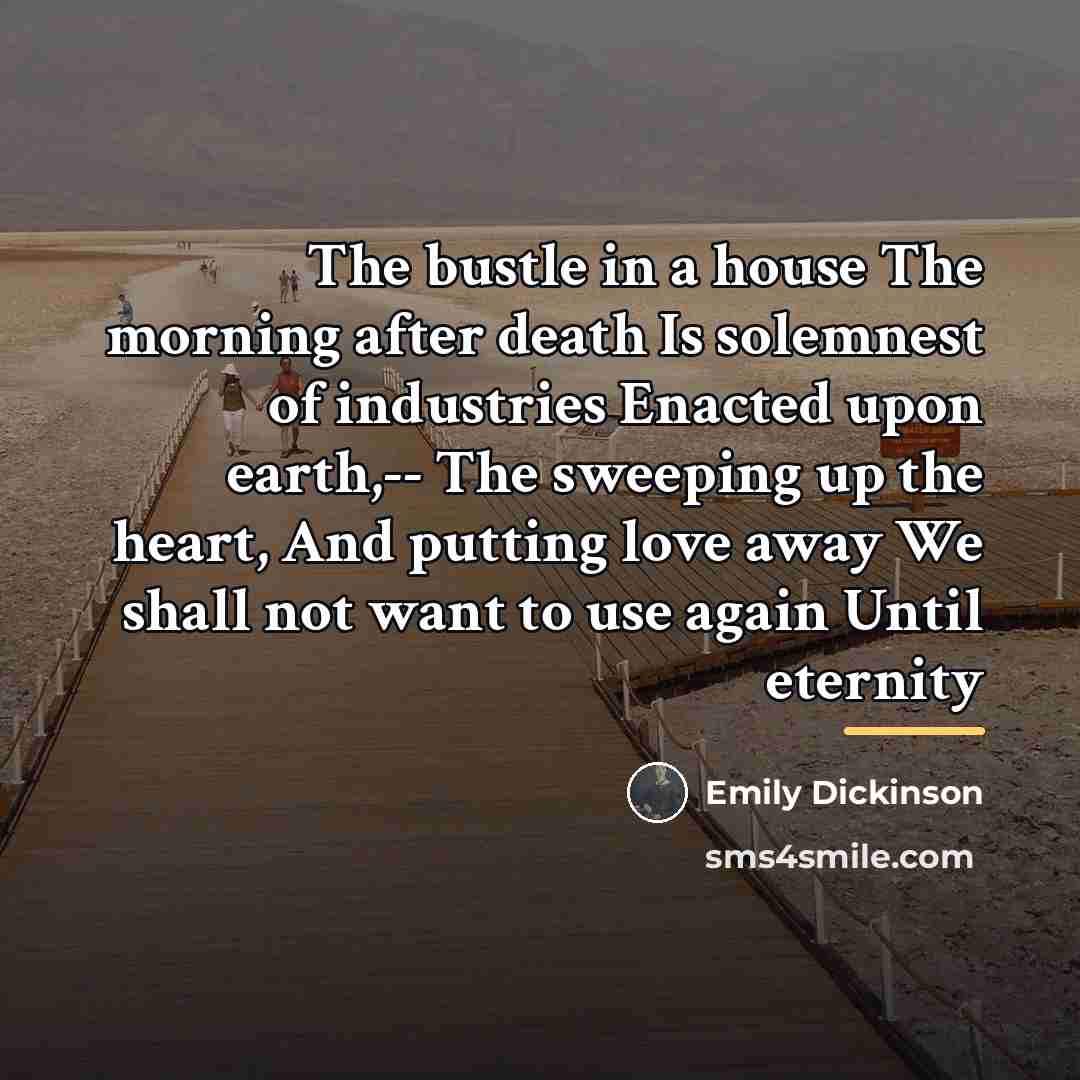 “The bustle in a house The morning after death Is…” quote by Emily Dickinson