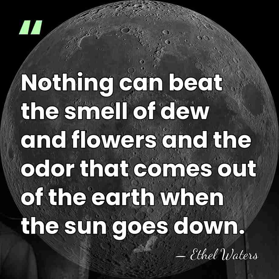Nothing can beat the smell of dew and flowers and the odor&hellip; - Ethel Waters
