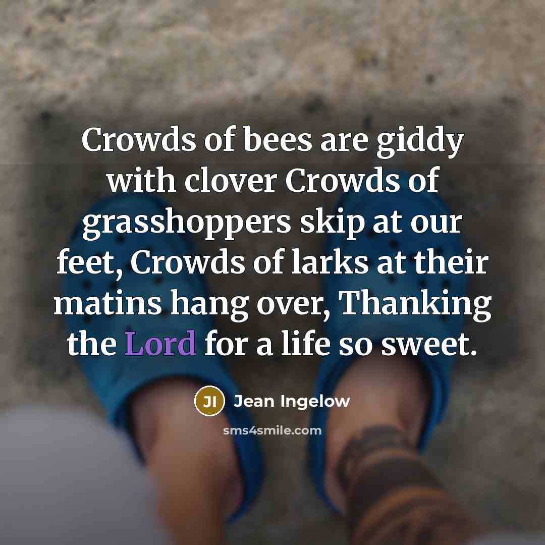 “Crowds of bees are giddy with clover Crowds of grasshoppers…” quote by Jean Ingelow
