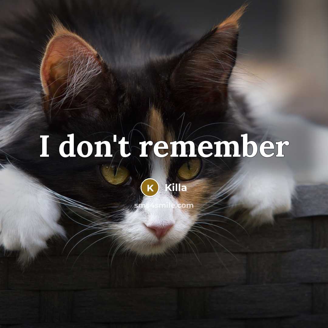 “I don't remember…” quote by Killa