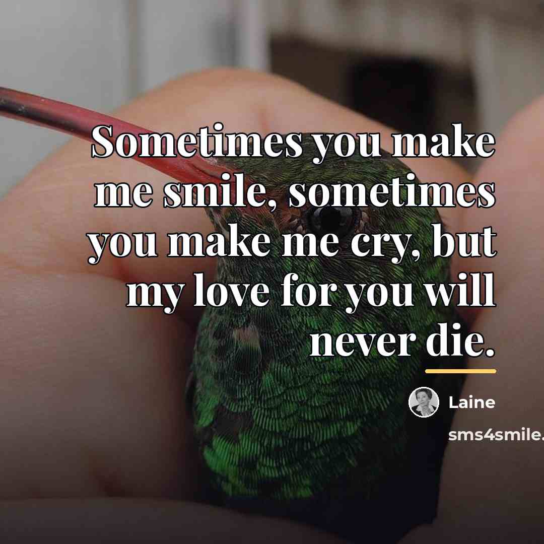 “Sometimes you make me smile, sometimes you make me cry,…” quote by Laine