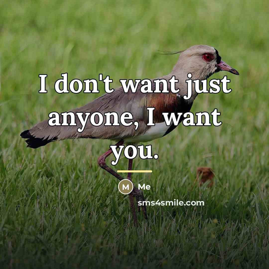 “I don't want just anyone, I want you.…” quote by Me