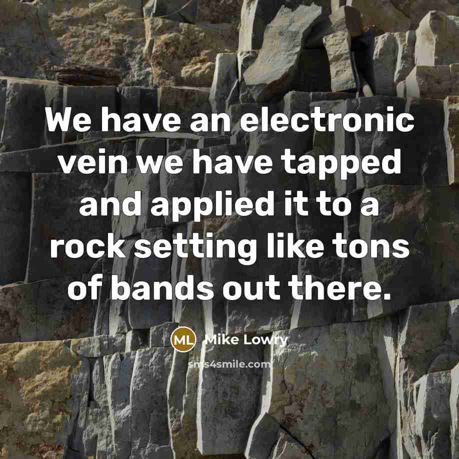 “We have an electronic vein we have tapped and applied…” quote by Mike Lowry
