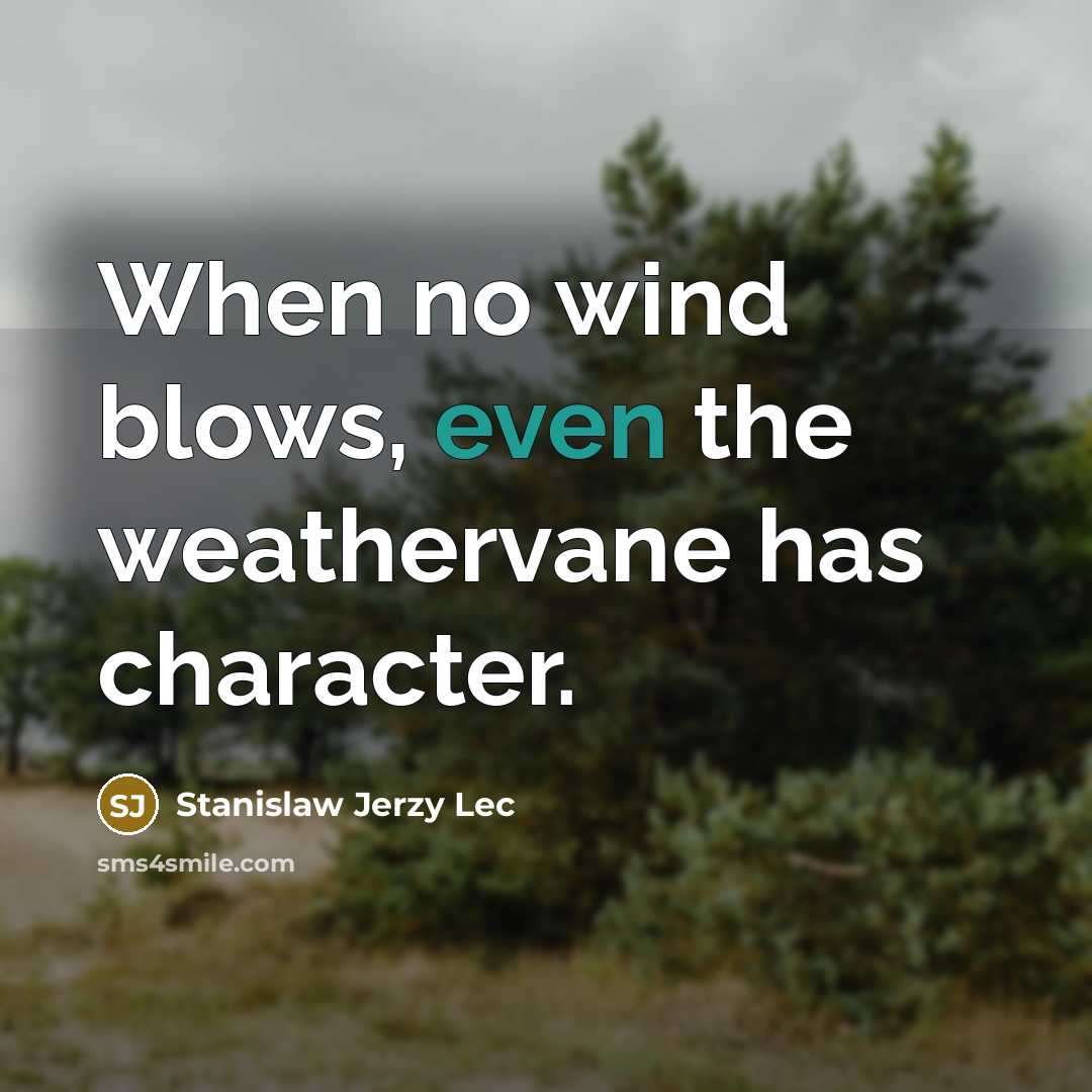 “When no wind blows, even the weathervane has character.…” quote by Stanislaw Jerzy Lec