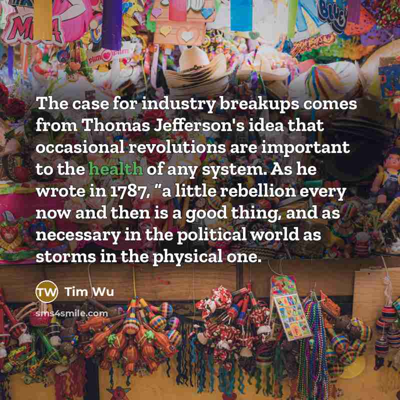 “The case for industry breakups comes from Thomas Jefferson's idea…” quote by Tim Wu