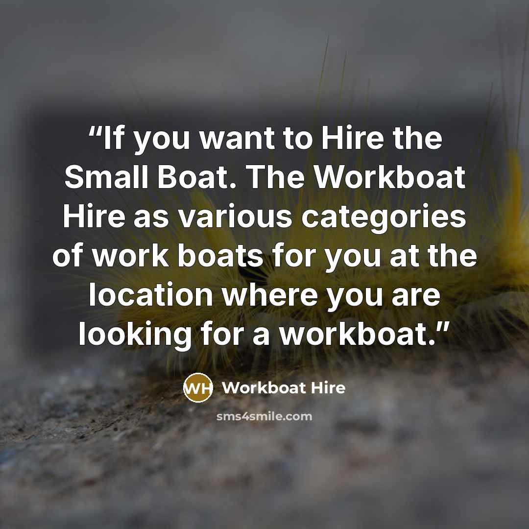 “If you want to Hire the Small Boat. The Workboat Hire as various categories of work boats for you at the location where you are looking for a workboat.” quote by Workboat Hire