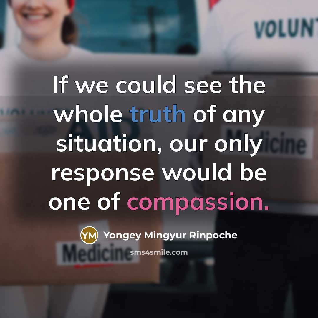 “If we could see the whole truth of any situation,…” quote by Yongey Mingyur Rinpoche