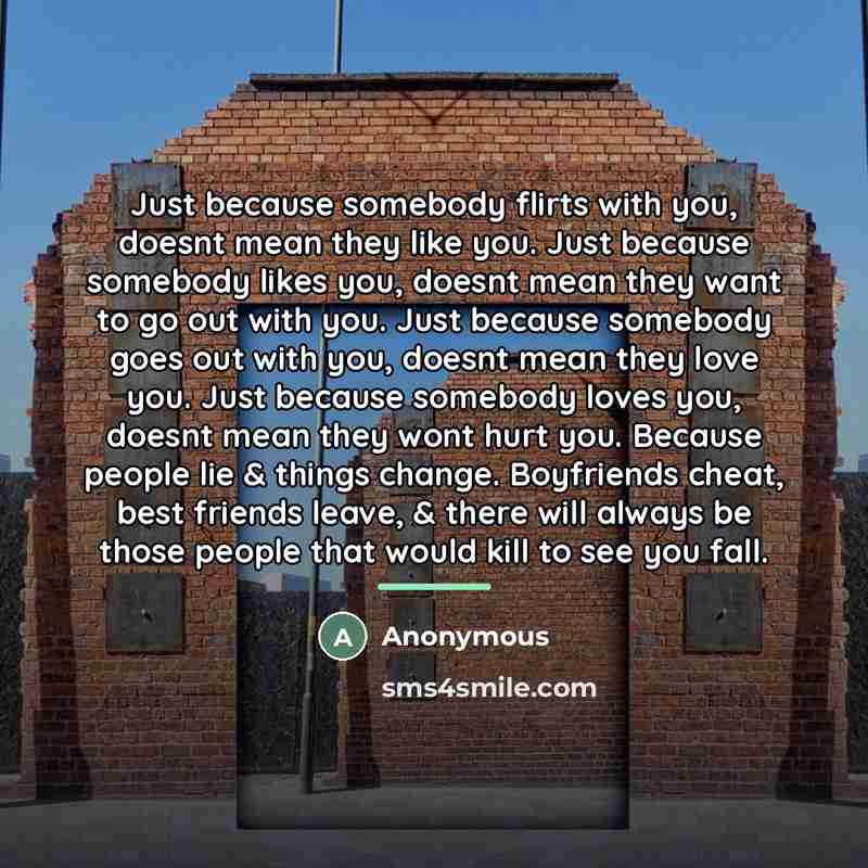 “Just because somebody flirts with you, doesnt mean they like…” quote by Anonymous