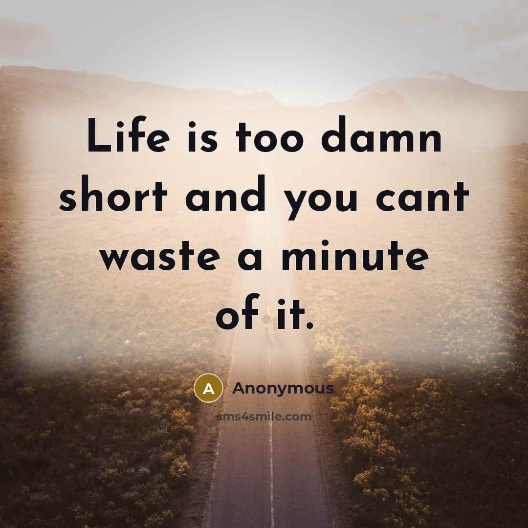 “Life is too damn short and you cant waste a…” quote by Anonymous