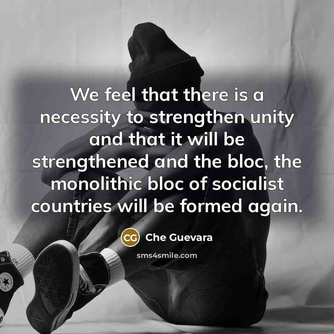 “We feel that there is a necessity to strengthen unity…” quote by Che Guevara