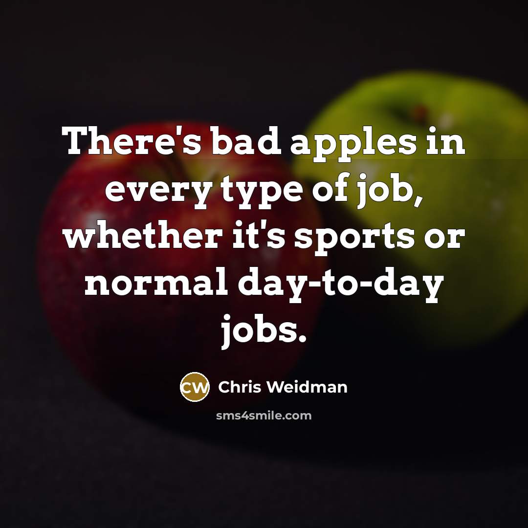 “There's bad apples in every type of job, whether it's…” quote by Chris Weidman