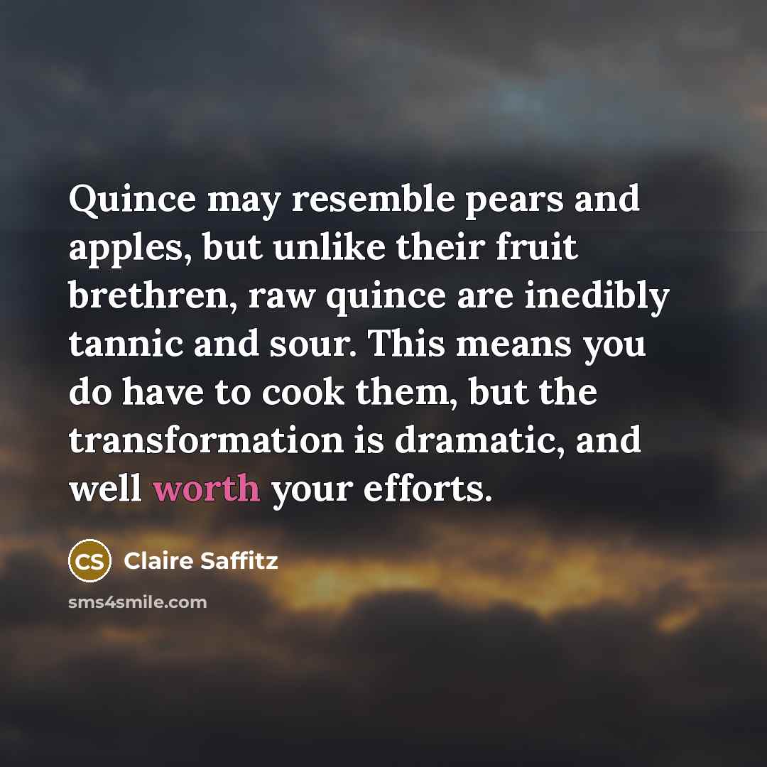 “Quince may resemble pears and apples, but unlike their fruit…” quote by Claire Saffitz