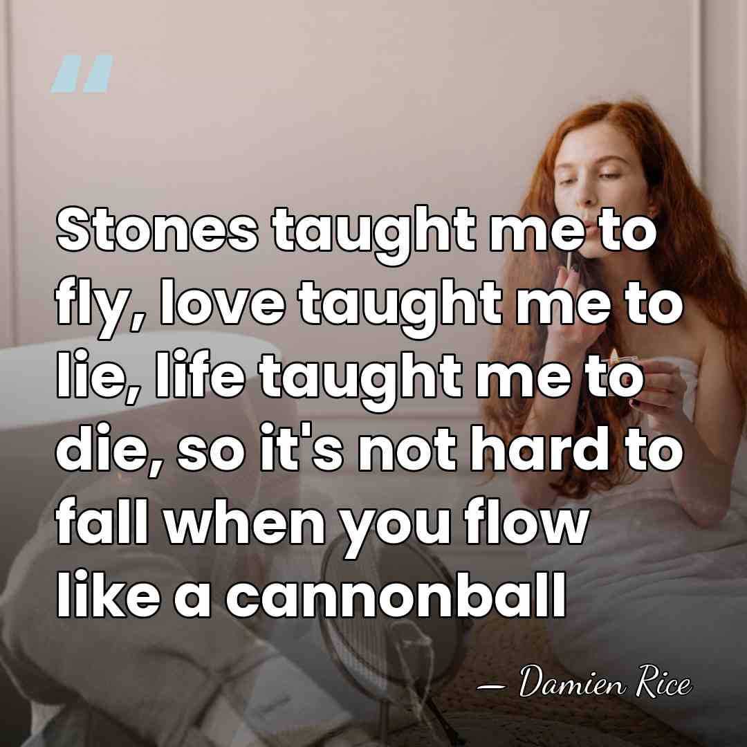 Stones taught me to fly, love taught me to lie, life taught&hellip; - Damien Rice