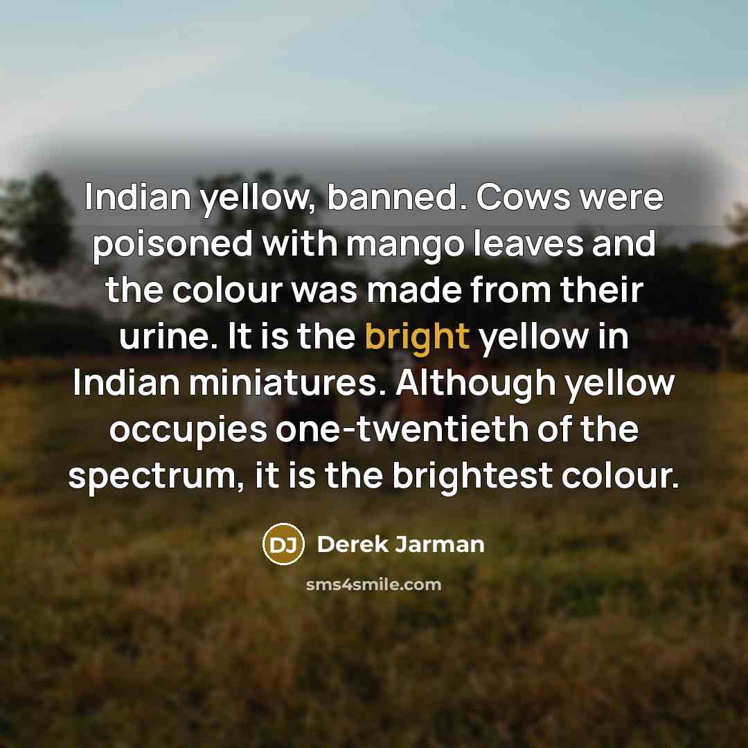 “Indian yellow, banned. Cows were poisoned with mango leaves and…” quote by Derek Jarman