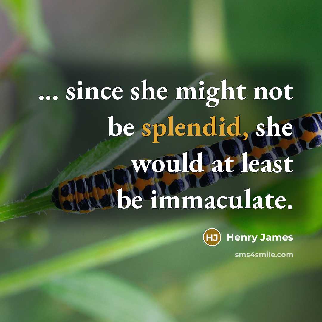 “... since she might not be splendid, she would at…” quote by Henry James