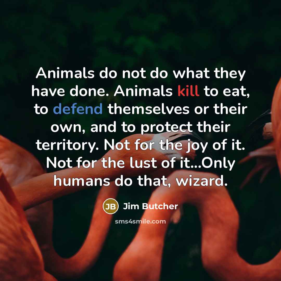 “Animals do not do what they have done. Animals kill…” quote by Jim Butcher