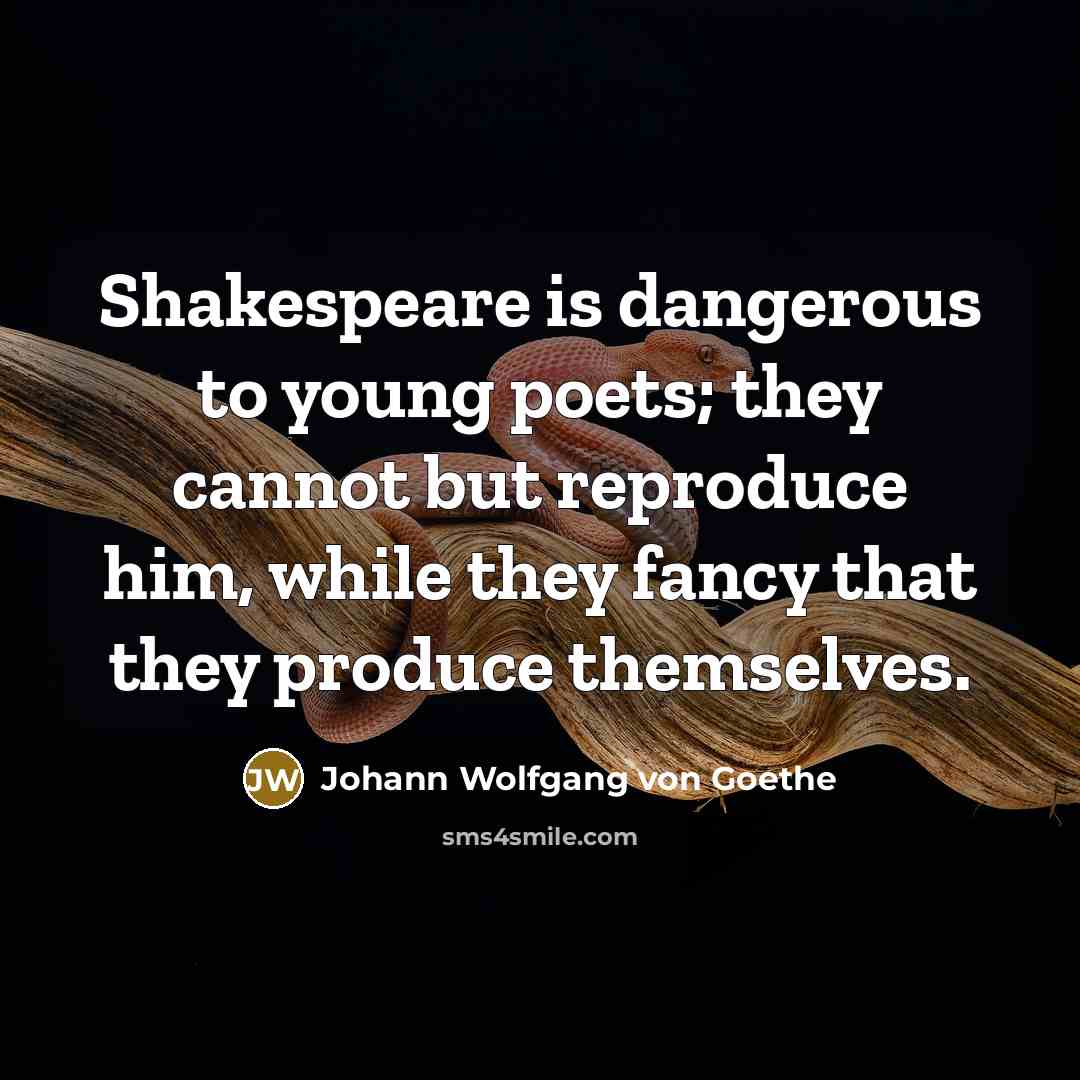 “Shakespeare is dangerous to young poets; they cannot but reproduce…” quote by Johann Wolfgang von Goethe