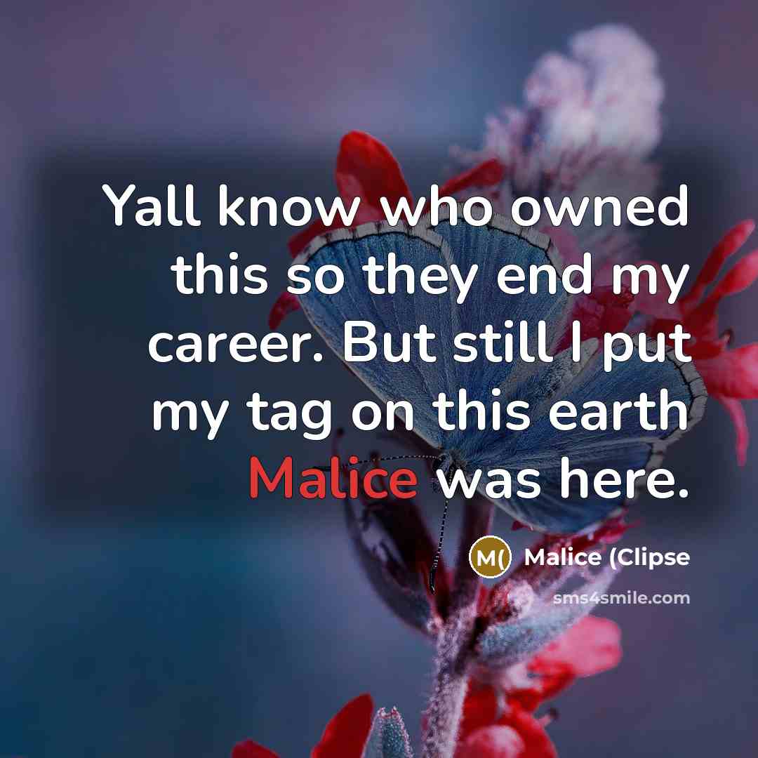 “Yall know who owned this so they end my career. But still I put my tag on this earth Malice was here.” quote by Malice (Clipse