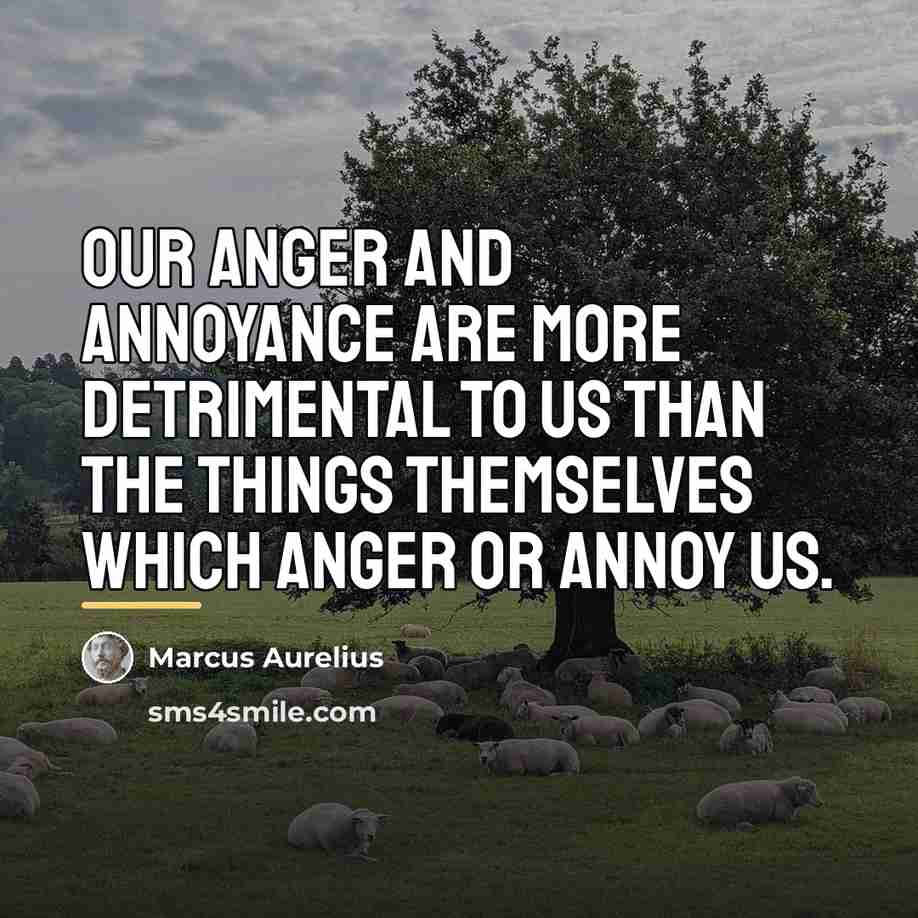 “Our anger and annoyance are more detrimental to us than…” quote by Marcus Aurelius