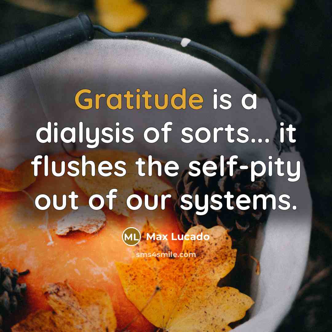 “Gratitude is a dialysis of sorts... it flushes the self-pity…” quote by Max Lucado