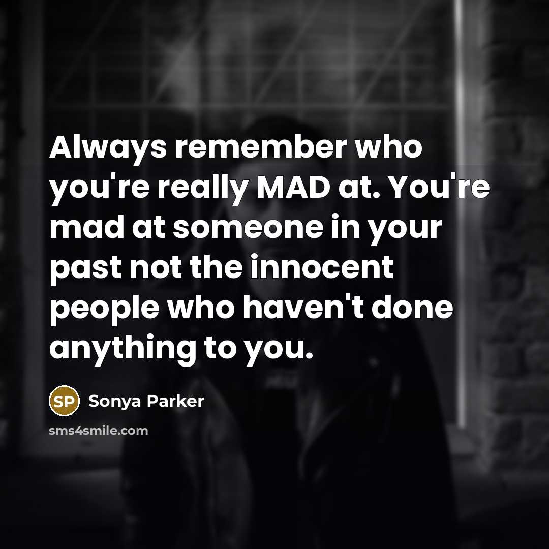 “Always remember who you're really MAD at. You're mad at…” quote by Sonya Parker