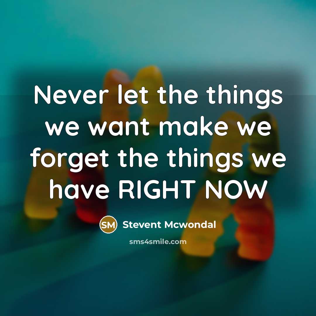 “Never let the things we want make we forget the…” quote by Stevent McWondal