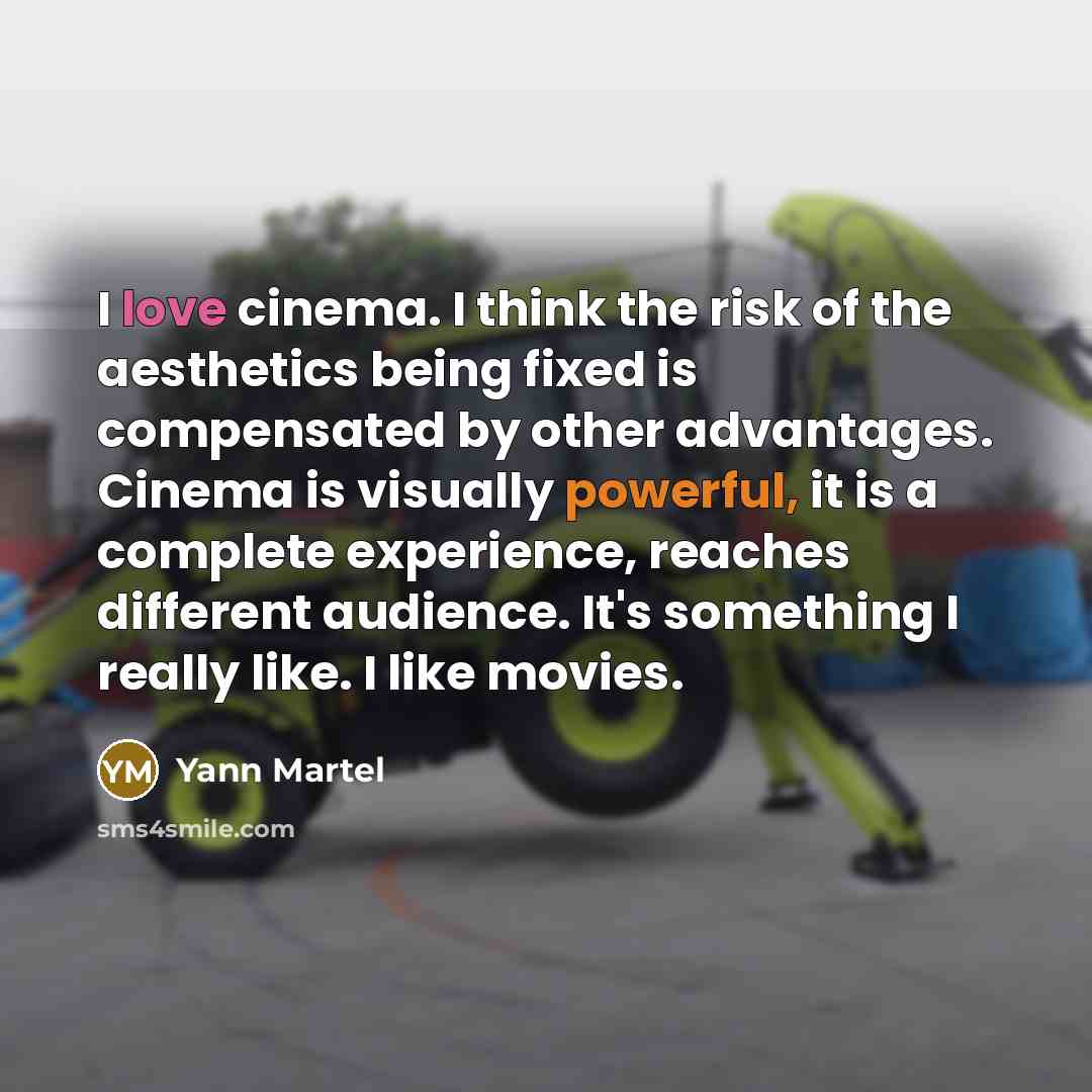 “I love cinema. I think the risk of the aesthetics…” quote by Yann Martel