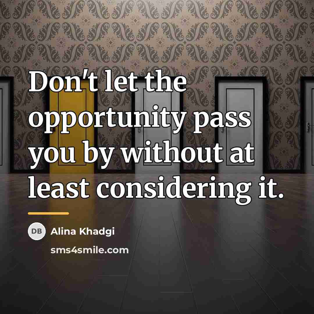 “Don't let the opportunity pass you by without at least…” quote by Alina Khadgi