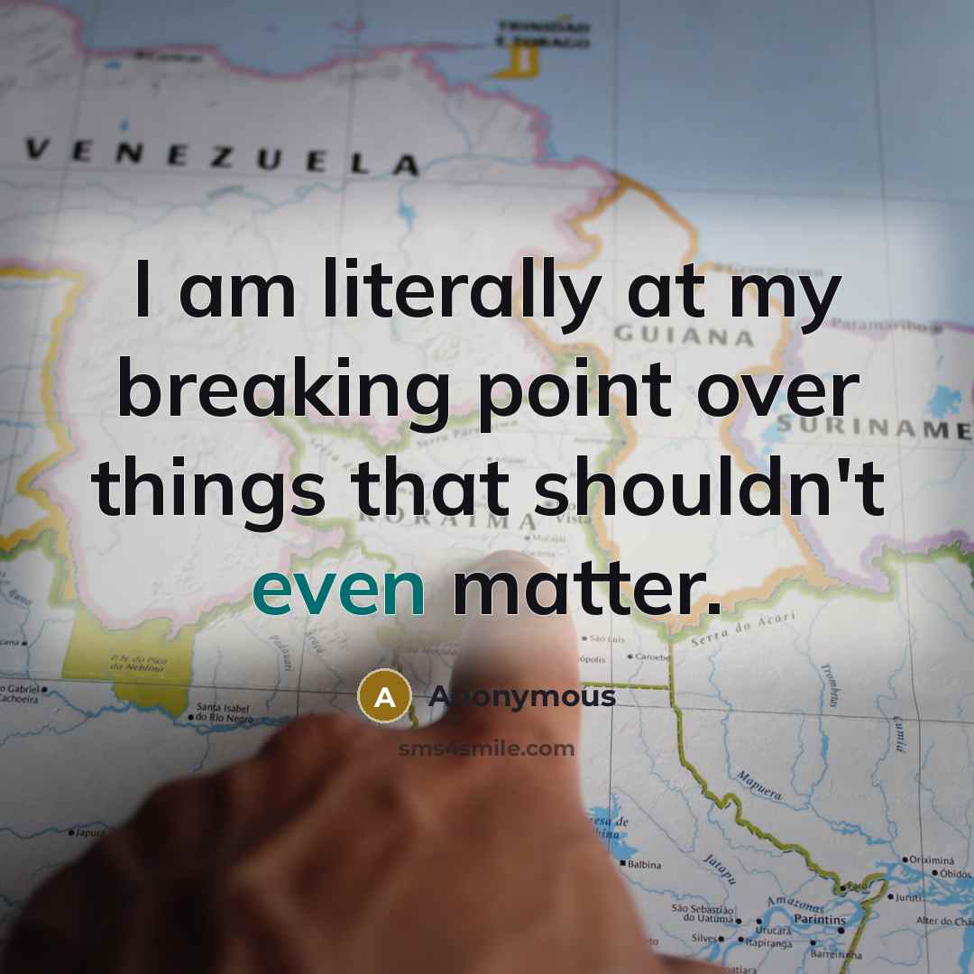“I am literally at my breaking point over things that shouldn't even matter.” quote by Anonymous