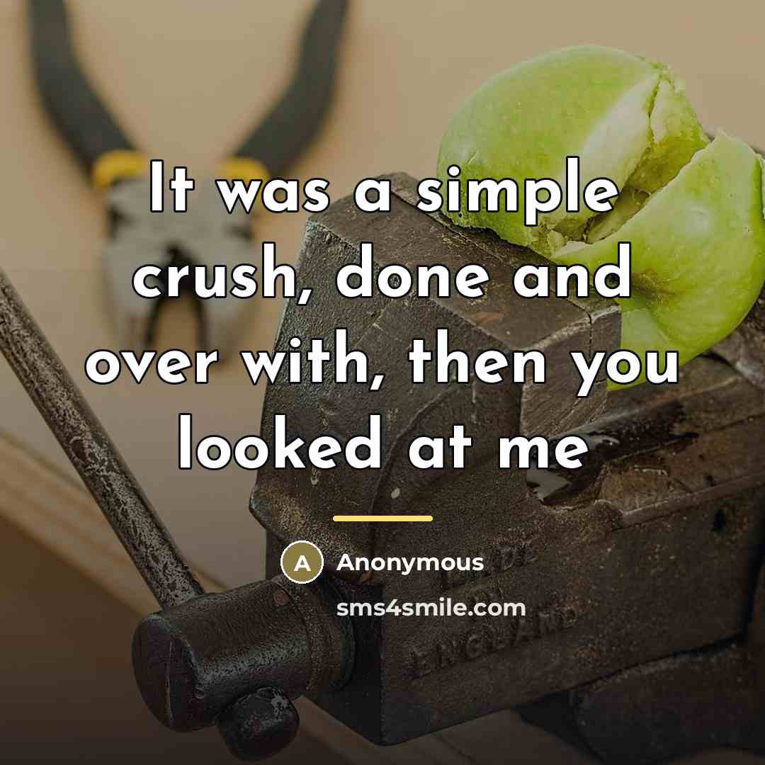 “It was a simple crush, done and over with, then…” quote by Anonymous