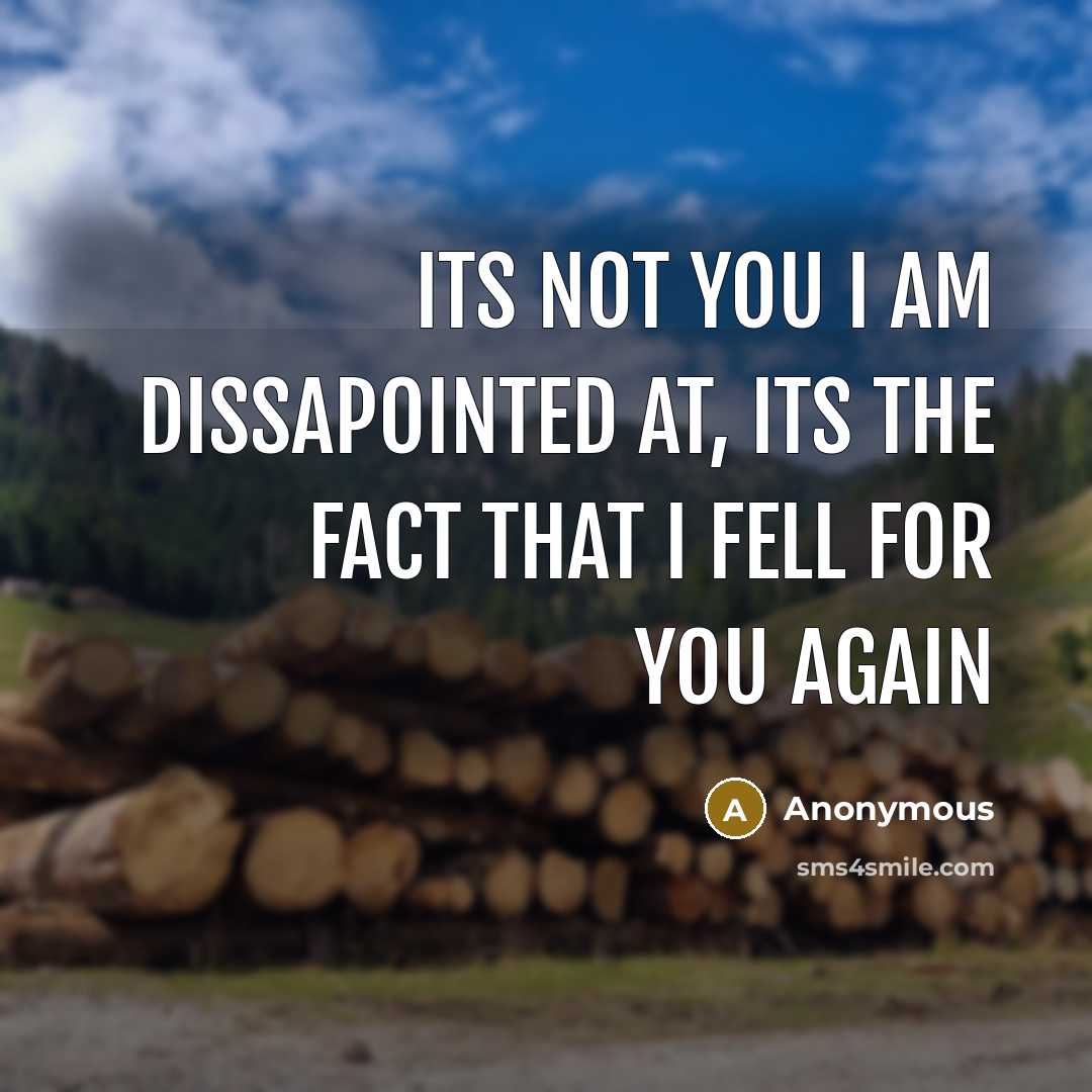 “Its not you I am dissapointed at, its the fact…” quote by Anonymous