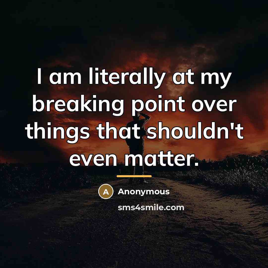 “I am literally at my breaking point over things that…” quote by Anonymous